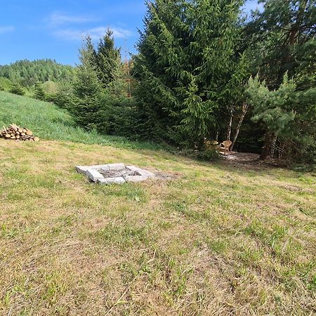 Pod Laskiem Krosnica  Zewnętrze zdjęcie